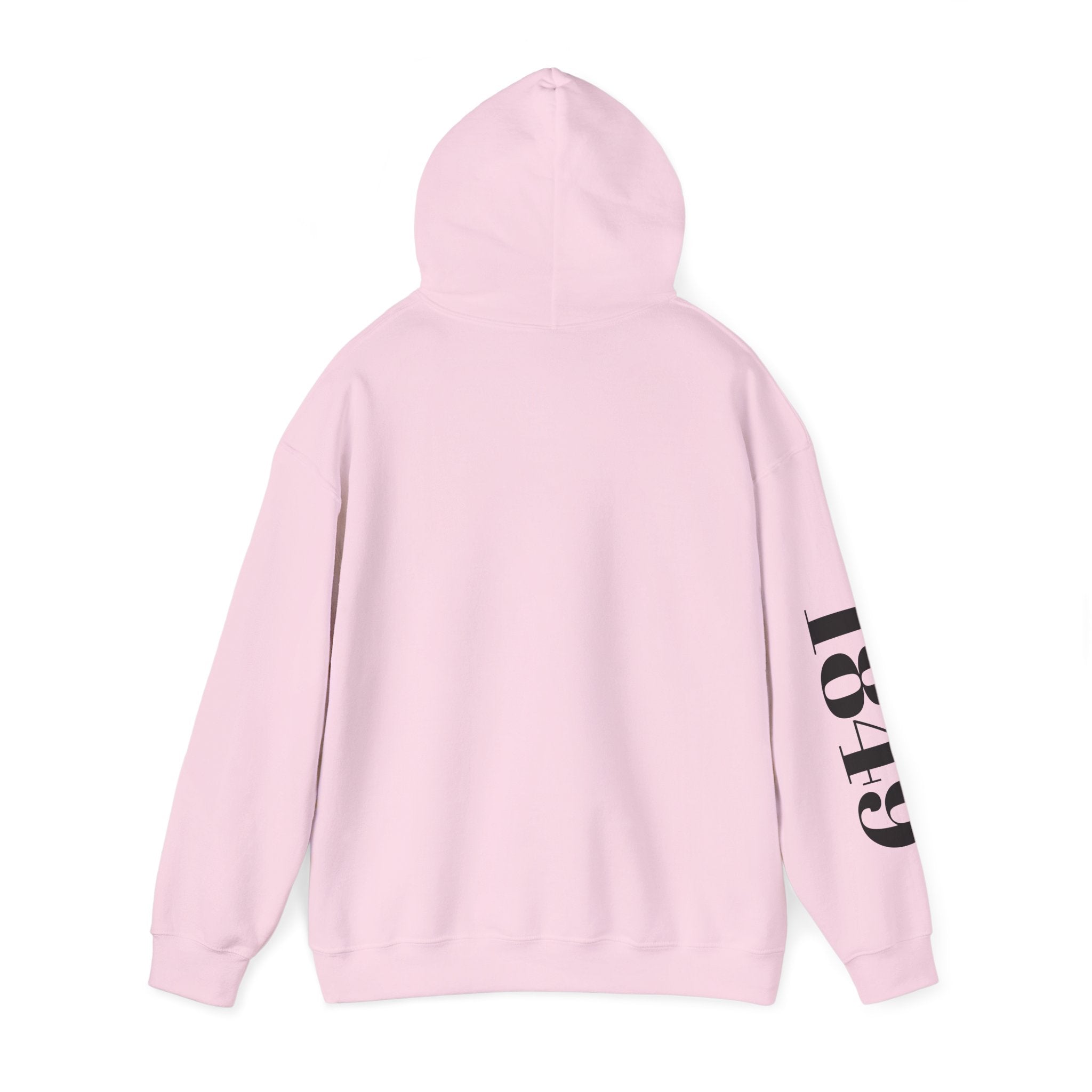 "We Out" -Hooded Sweater