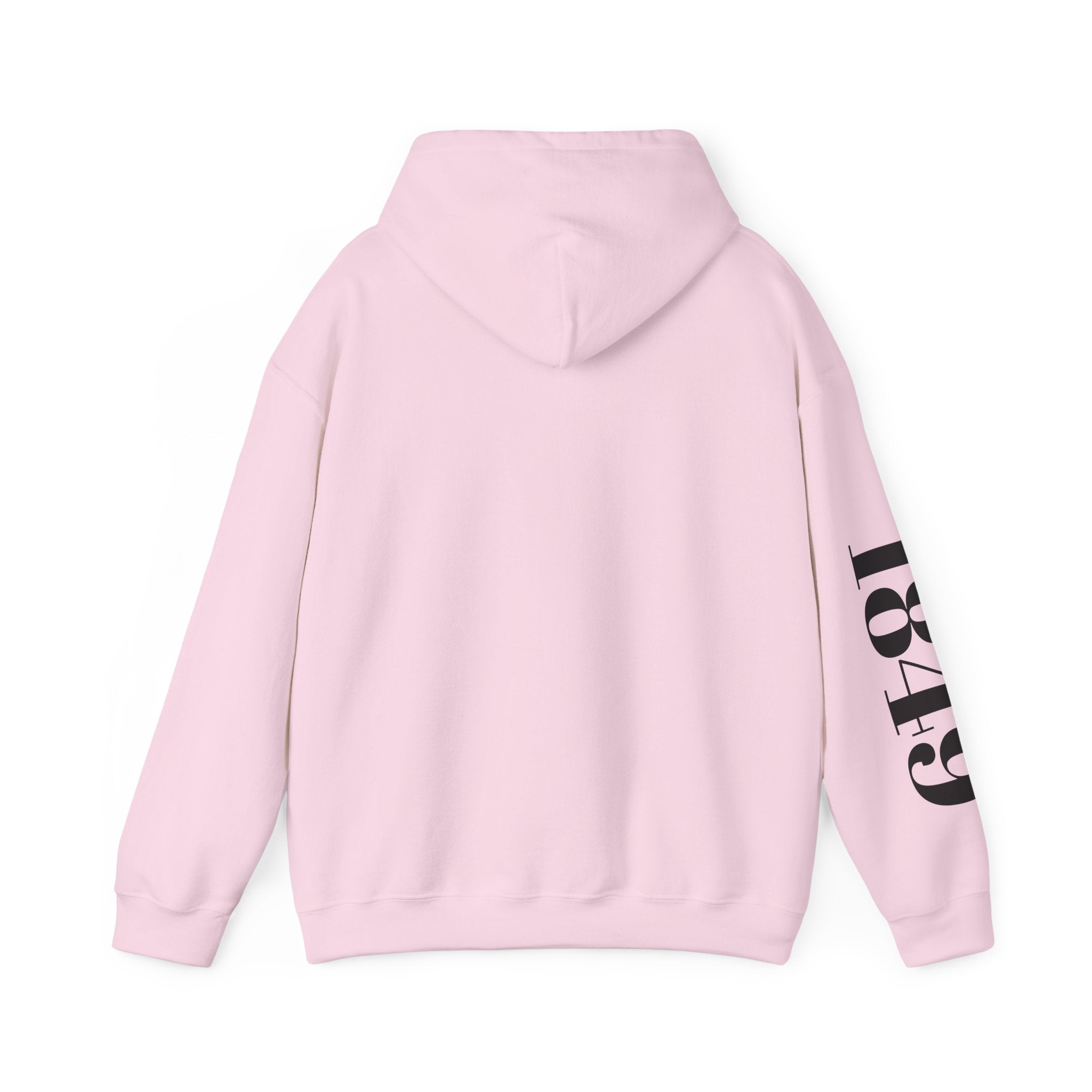 "We Out" -Hooded Sweater